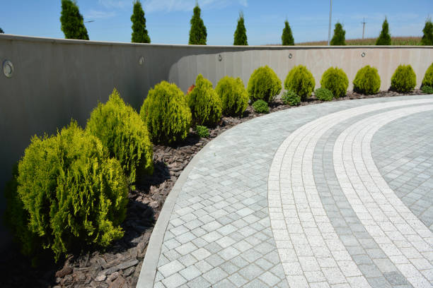 Best Residential Paver Driveway  in Salem, MA